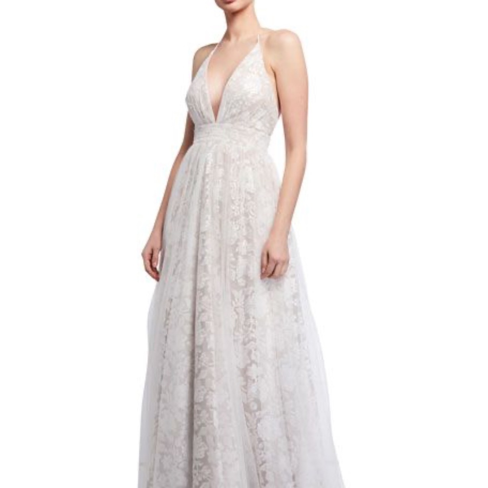 Aidan by Aidan Mattox Size 2 Embroidered Mesh Gown